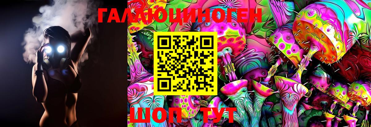 как найти наркотики  Вход с VPN  Тайшет  Псилоцибиновые грибы Magic Shrooms  Галлюциногенные грибы прущие грибы 